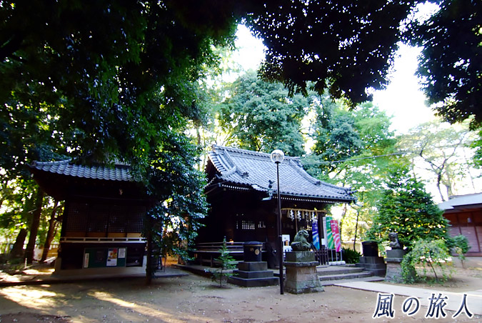 経堂天祖神社　拝殿と旧神楽殿の写真