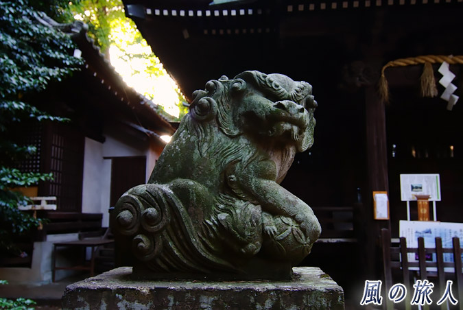 経堂天祖神社　狛犬の写真