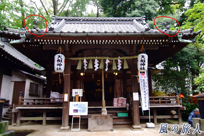 経堂天祖神社　拝殿と飛び狛犬の写真