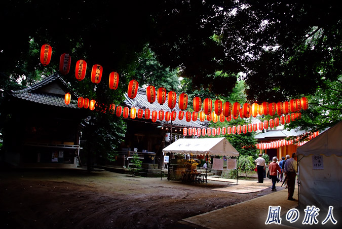 経堂天祖神社の秋祭り　昼間の境内の写真