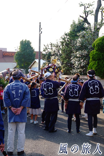 宇山稲荷神社　神輿渡御2009年　神輿振りの写真