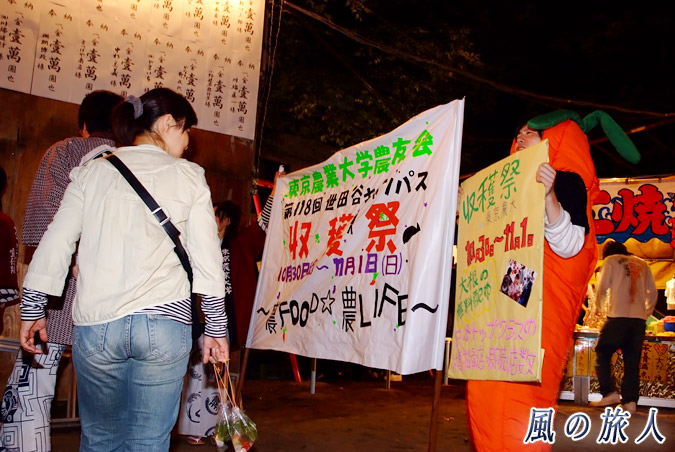 稲荷森稲荷神社の秋祭り　東京農大の収穫祭の告知の写真