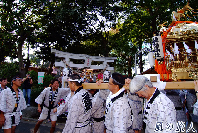 弦巻神社の神輿渡御の写真