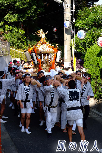 弦巻神社の神輿渡御　神社前の細い路地を進む神輿の写真