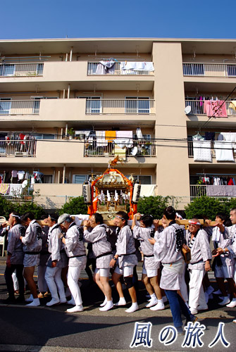 弦巻神社の神輿渡御　マンションと神輿の写真