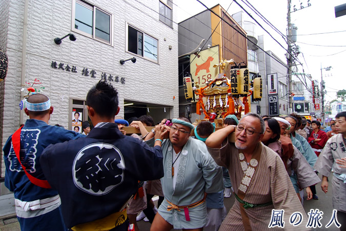 経堂天祖神社の神輿渡御　2010年農大通り商店街　担ぎ始めの写真