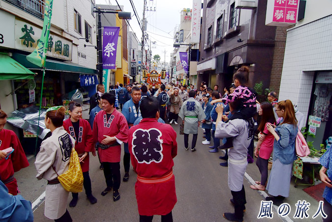 経堂天祖神社の神輿渡御　2010年農大通り商店街　商店街を進む神輿の写真