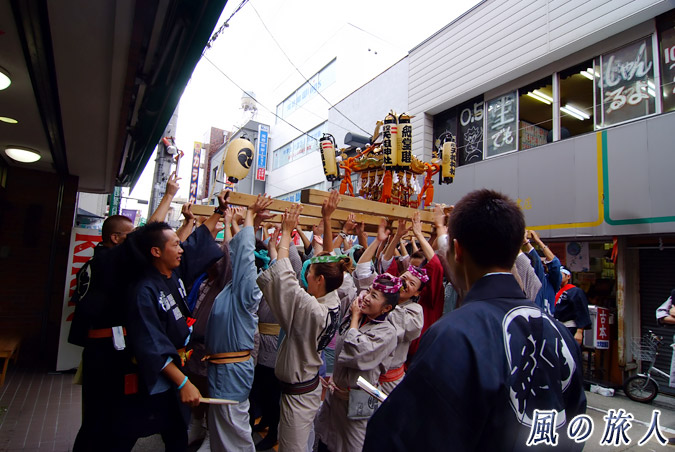 経堂天祖神社の神輿渡御　2010年農大通り商店街　差し上げの写真
