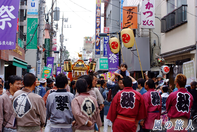 経堂天祖神社の神輿渡御　2010年農大通り商店街　様々な半纏を着た担ぎ手の写真