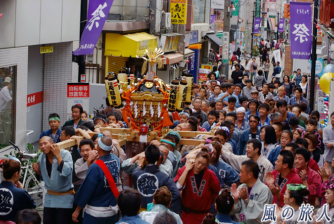 経堂天祖神社の神輿渡御　2010年農大通り商店街　神輿と担ぎ手であふれる様子の写真