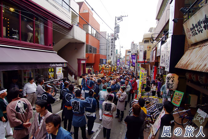 経堂天祖神社の神輿渡御　2010年農大通り商店街　商店街と神輿の写真