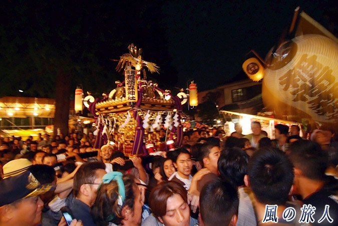稲荷森稲荷神社の神輿渡御　2012年宮入　激しく動き回る神輿の写真