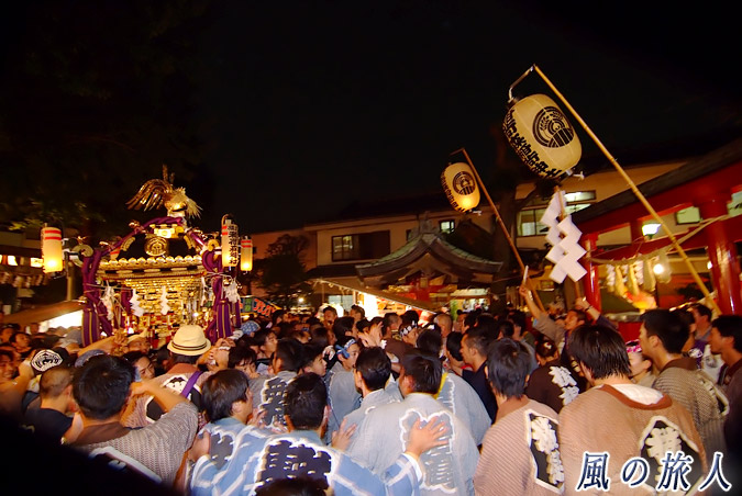 稲荷森稲荷神社の神輿渡御　2012年宮入　二の鳥居前での収めの写真