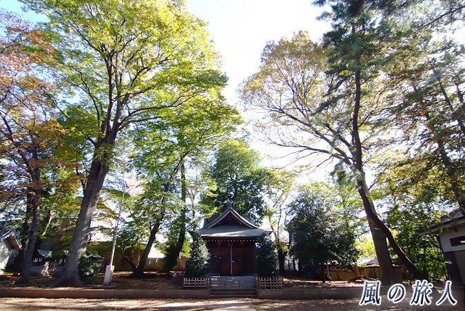 宇山稲荷神社　木々と社殿の写真