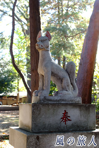 宇山稲荷神社　参道の狐様の写真