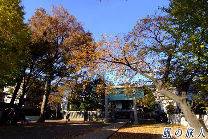 上町天祖神社　天祖神社広場の写真