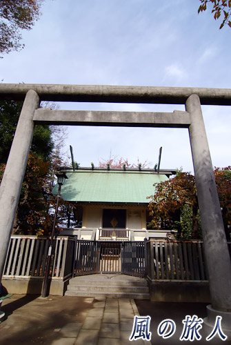 上町天祖神社　鳥居と社殿の写真