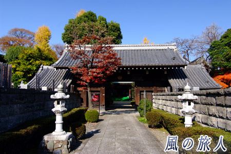 西澄寺の紅葉の写真