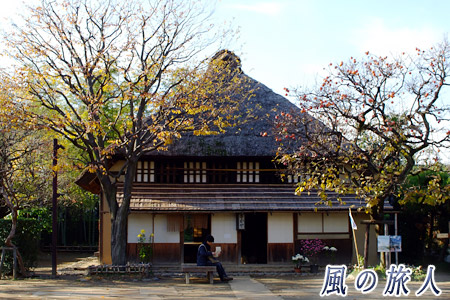 次大夫堀公園の紅葉の写真