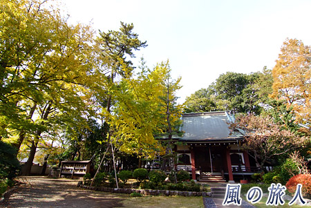 善性寺の紅葉の写真