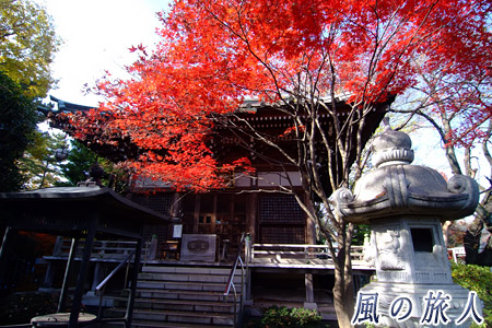 船橋不動の紅葉の写真