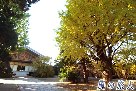 岡本長円寺の紅葉の写真