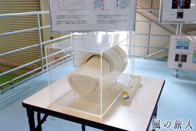 砧浄水場　膜ろ過装置の断面模型の写真