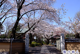船橋不動の宝性寺の写真