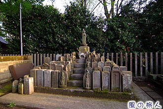 船橋不動の宝性寺の写真