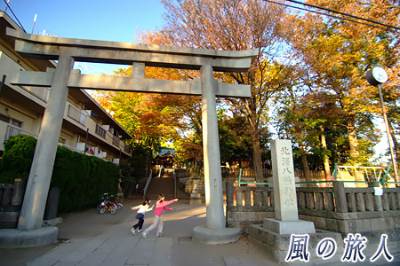 北沢八幡神社の紅葉の写真