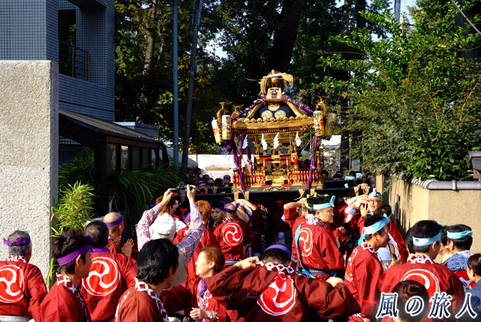 駒留八幡神社　宮神輿渡御2009年　宮出し