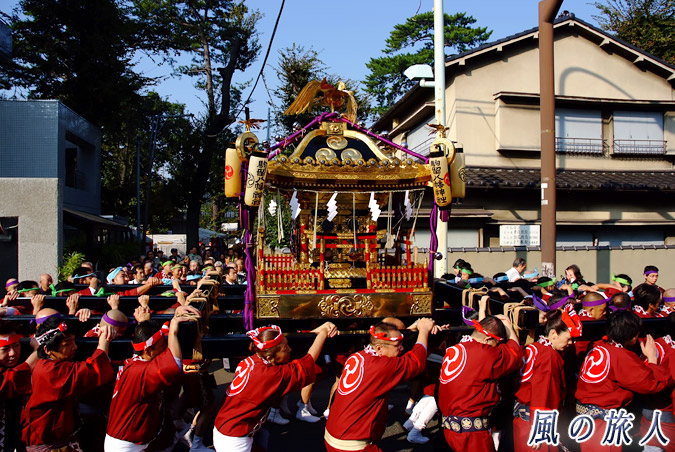 駒留八幡神社　宮神輿渡御2009年　神輿と担ぎ手たち