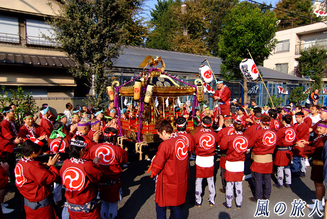 駒留八幡神社　宮神輿渡御2009年　宮出し　環七速側道での収め