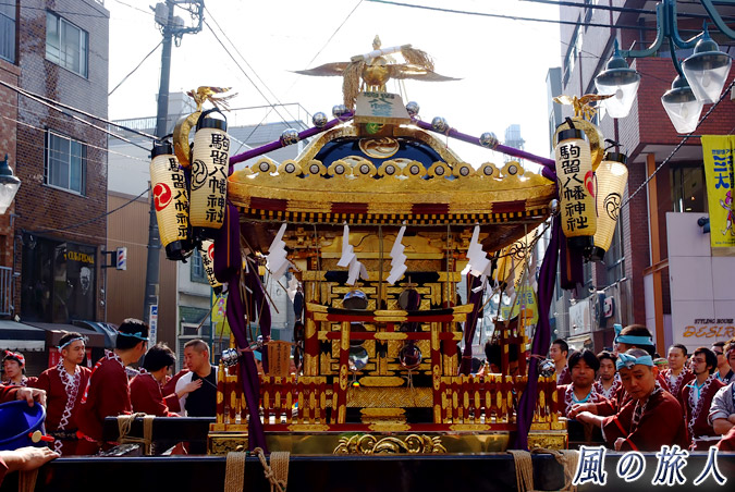 駒留八幡神社の宮神輿