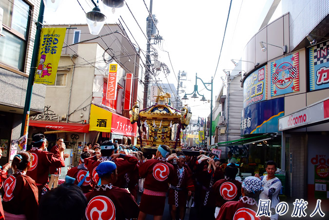 駒留八幡神社　宮神輿渡御2009年　三軒茶屋栄通り商店街　商店街を進む神輿