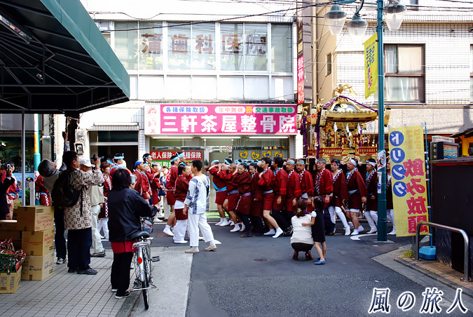 駒留八幡神社　宮神輿渡御2009年　三軒茶屋栄通り商店街　商店街を進む神輿