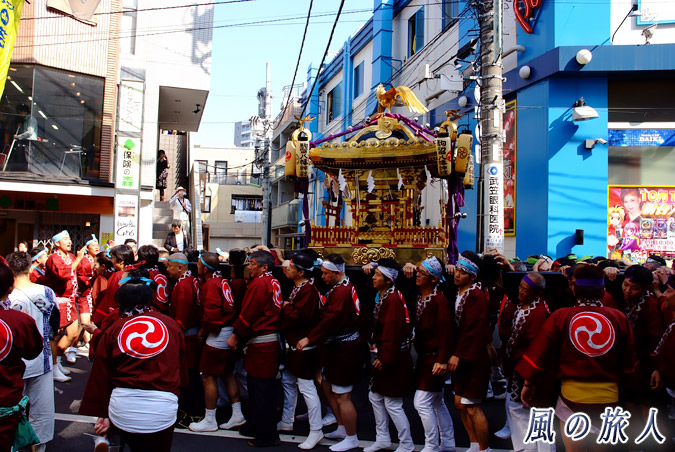 駒留八幡神社　宮神輿渡御2009年　三軒茶屋栄通り商店街　青い建物と神輿