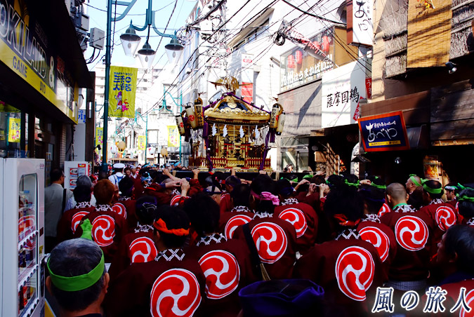 駒留八幡神社　宮神輿渡御2009年　三軒茶屋栄通り商店街　溢れんばかりの担ぎ手