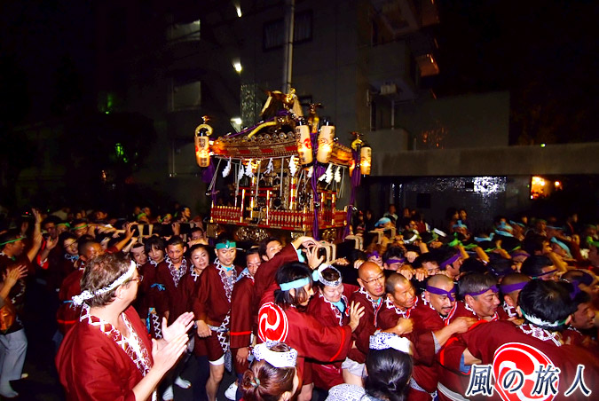 駒留八幡神社　宮神輿渡御2009年　宮入　宮入道中