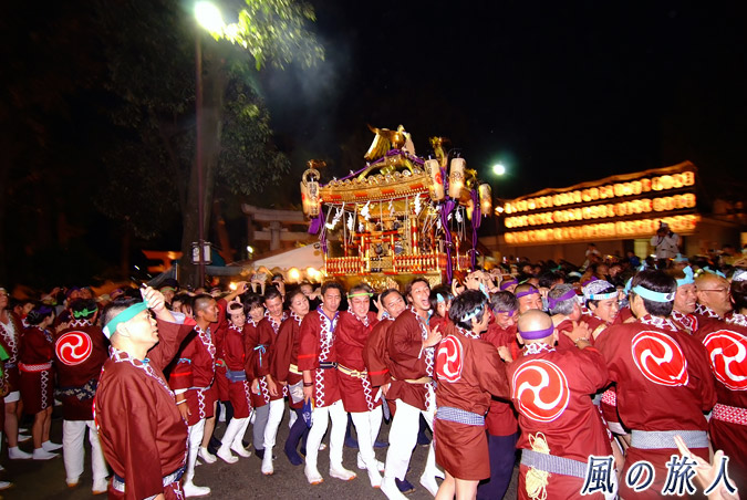 駒留八幡神社　宮神輿渡御2009年　宮入　宮入りしてきた神輿