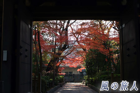 弦巻実相院の紅葉の写真