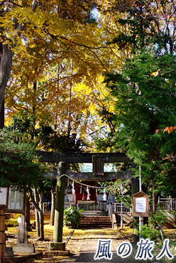 粕谷八幡神社の紅葉の写真