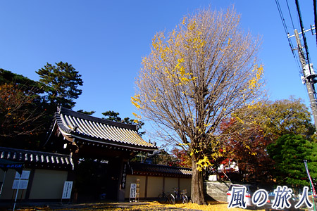 烏山寺町妙寿寺の紅葉の写真