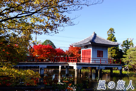 烏山寺町高源院の紅葉の写真