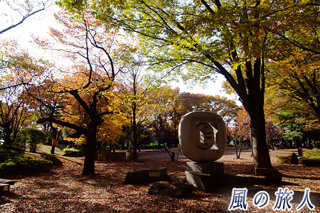 大蔵総合運動公園の紅葉の写真