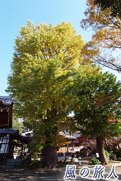 永安寺の紅葉の写真