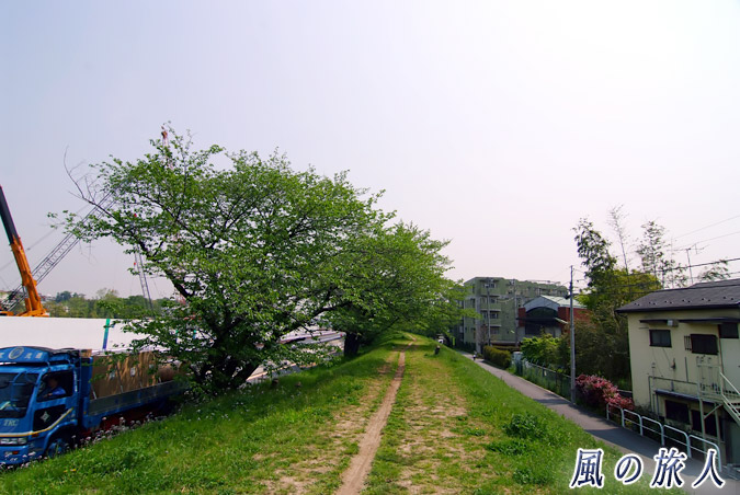 多摩川土手　二子玉川再開発　2008年の土手の写真