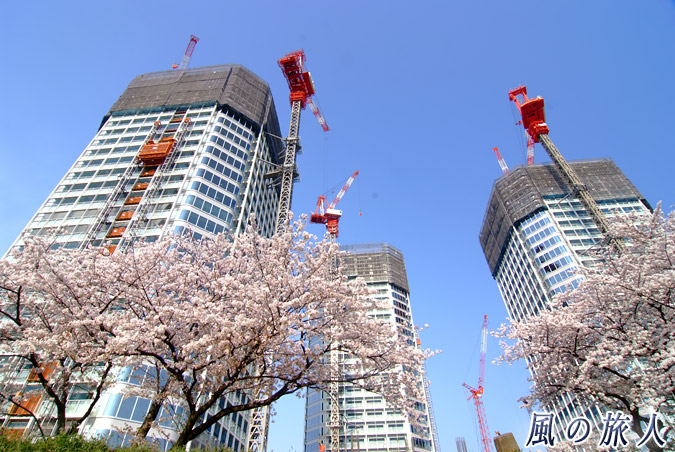 二子玉川　ライズビルのクレーンと桜の写真