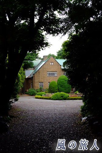 岡本静嘉堂文庫　木々の間から眺めた様子の写真