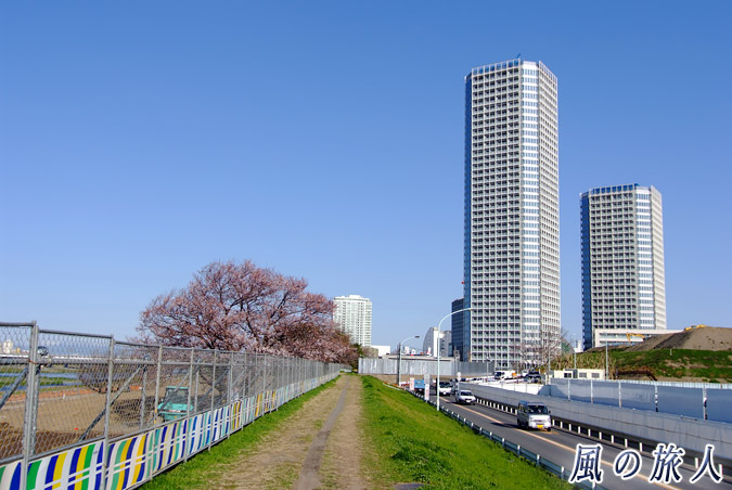 二子玉川多摩川土手　2010年の様子の写真